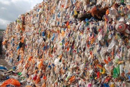 凯时最新首页登录废弃塑料瓶回收
